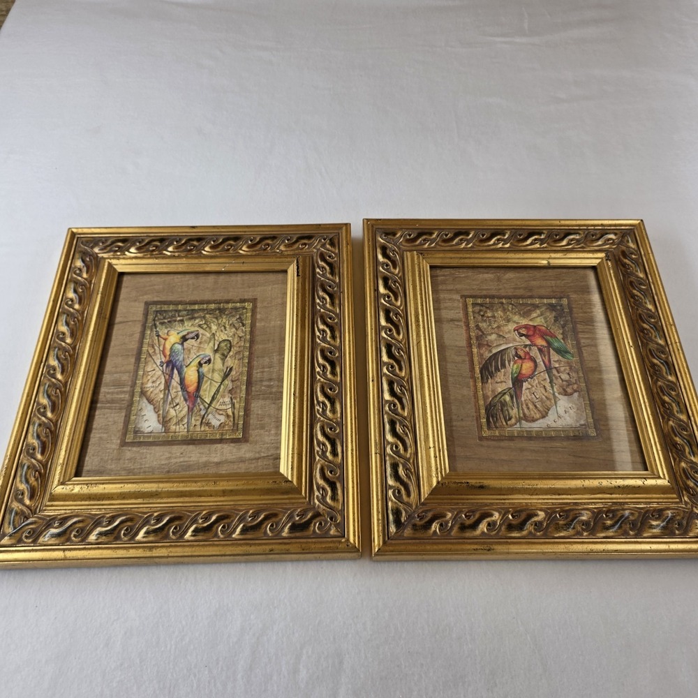 Pair Steve Butler Framed Parrot Art Prints Caribbean Color Macaw Gold Ornate Set